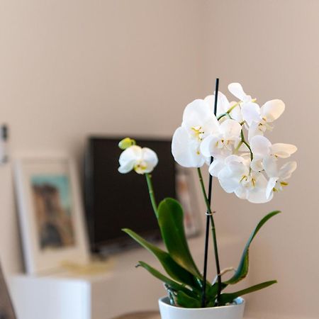 Apartment Ivi Trogir Kültér fotó